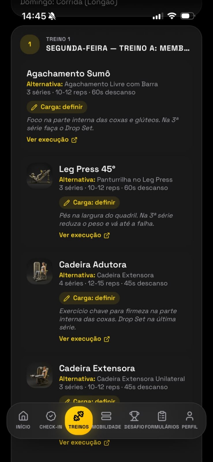 Tela de treinos personalizados no aplicativo FortiLight PRO mostrando exercícios, séries e execuções